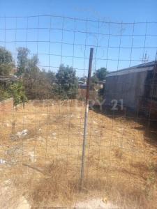Eridano 8834,, Tijuana, Basse-Californie 22185, Mexique