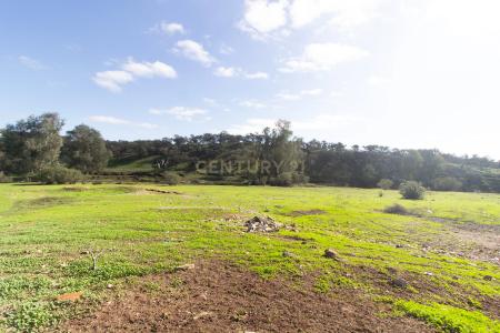 Serpa, Beja 7830-650, Portugal