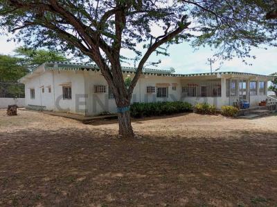 Tucacas, Falcón 2055, Venezuela