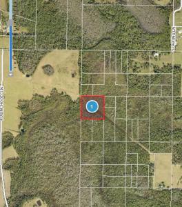 Robin Hood Lane, CLERMONT, Florida 34714, Amerika Birleşik Devletleri