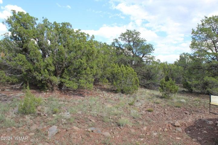 84 CR #3199, Vernon, Arizona 85940, USA