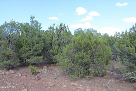 84 CR #3199, Vernon, Arizona 85940, USA