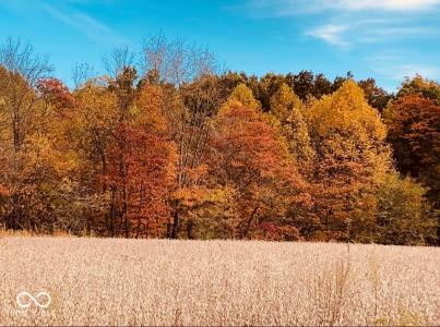 9691 N Bowman Road, Gosport, Indiana 47433, USA