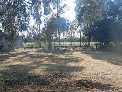 Av. de los Geranios ,, Cerro De San Pedro, San Luis Potosi 78448, Meksyk