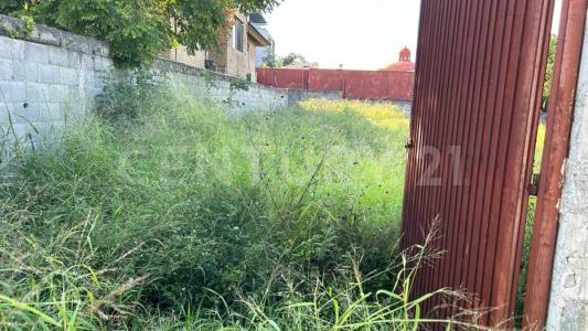 San Pedro Garza García, Nuevo León 66250, Mexico