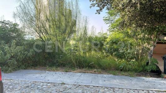 Santa Catarina, Nuevo León 66196, Mexique