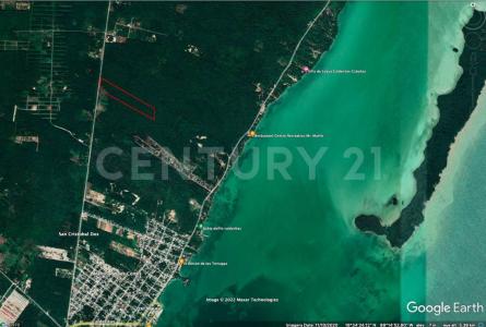 CAMINO CALDERITAS-PUERTO MADERO POBLADO DE CALDERITAS MUNICIPIO OTHON P. BLANCO CHETUMAL, ,, Othon P Blanco, キンタナロー 77900, メキシコ