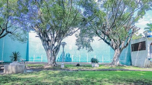 PALMERAS ,, Xochitepec, 莫雷洛斯 62790, 墨西哥
