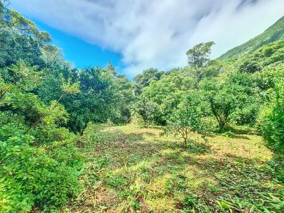 Lajes Das Flores, Ilha Das Flores 9960-000, Portugal