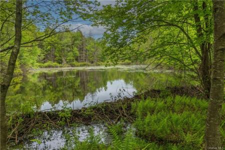 401 Harris Road, Monticello, NY 12701, USA