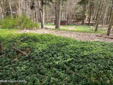 123 Michigana Drive, Pocono Lake, Pennsylvania 18347