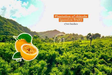 Large Ocean and Mountain View Land for Sale in Villa Magante, Rio San Juan, Puerto Plata, Cộng Hòa Dominica