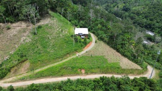 Paso Marcos, Tayutic , Turrialba Turrialba, Cartago 30501, Costa Rica