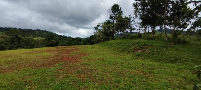 Bijagual Carara Turrubáres, San José 61101, 哥斯達尼加