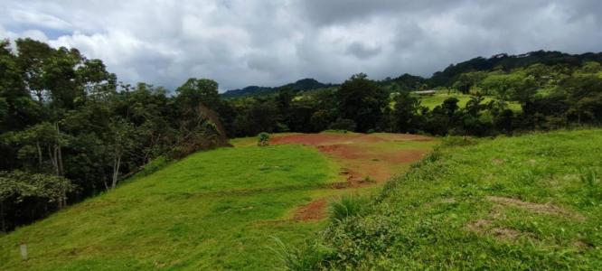 Bijagual Carara Turrubáres, San José 61105, 哥斯達尼加