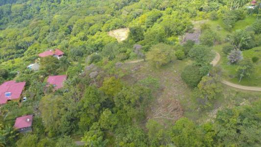 Dominical Bahía Ballena Osa, Puntarenas 00001, コスタリカ