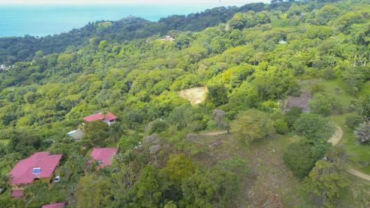 Dominical Bahía Ballena Osa, Puntarenas 00001, コスタリカ