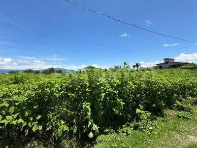 Lote 119 Campos Hornos Cuates S/N,, Tequesquitengo, Morelos 62915, Meksika