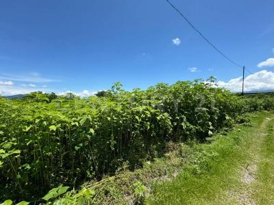Lote 121 Campo Hornos Cuates SN,, Tequesquitengo, Morelos 62915, Messico