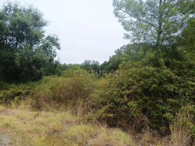 Tomar, Santarém 2300-161, Portugal