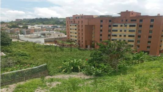 Caracas, Miranda 1083, 베네수엘라