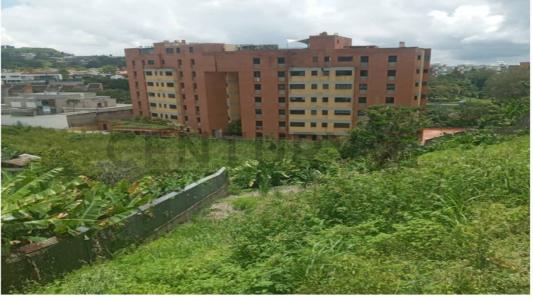 Caracas, Miranda 1083, 베네수엘라