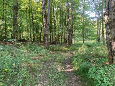 42 Wiggins Road, Fairfax, Vermont 05454, USA