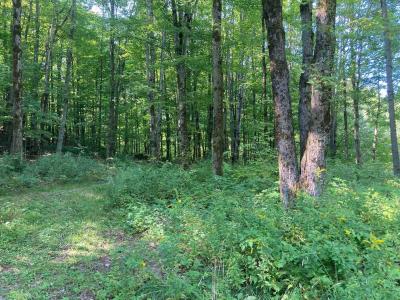 42 Wiggins Road, Fairfax, Vermont 05454, USA