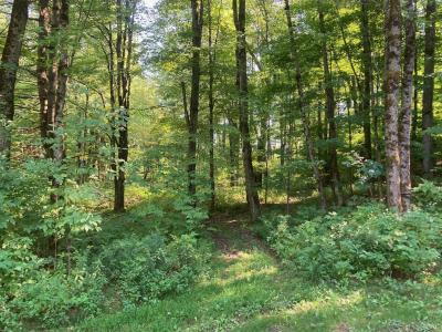 42 Wiggins Road, Fairfax, Vermont 05454, USA