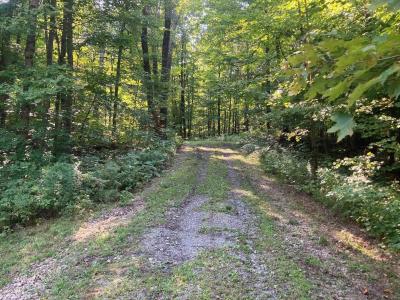42 Wiggins Road, Fairfax, Vermont 05454, USA