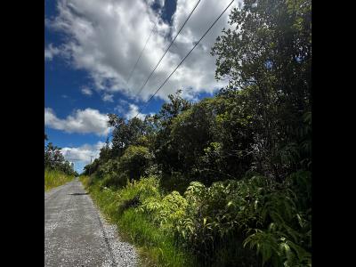 Lot 49, Jungle King Ave, Volcano, Hawaii 96785, USA