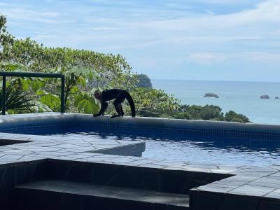 Pacific Cayon Drive , Manuel Antonio Quepos Quepos, Puntarenas 60601, 코스타리카