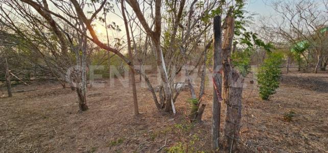 Mexico 8,, Bahía De Banderas, 나야리트 63732, 멕시코