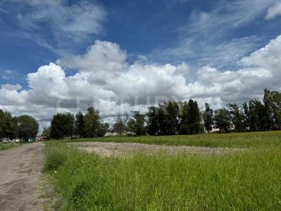 Irapuato, Guanajuato 36584, Mexico