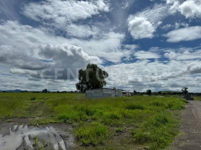 Irapuato, Guanajuato 36584, Mexico