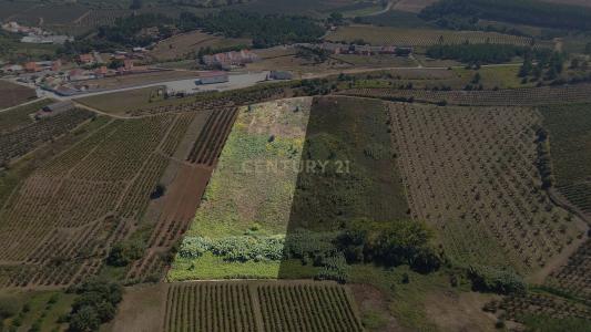 Bombarral, Leiria 2540-202, Portugal