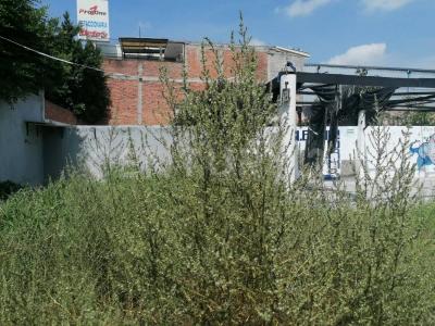 Av. Río Moctezuma 79,, San Juan Del Río, 克雷塔罗 76806, 墨西哥