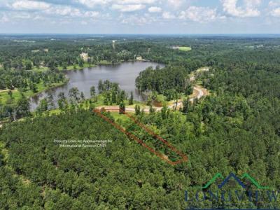 000 Marble Way Hall, Hallsville, Texas 75650