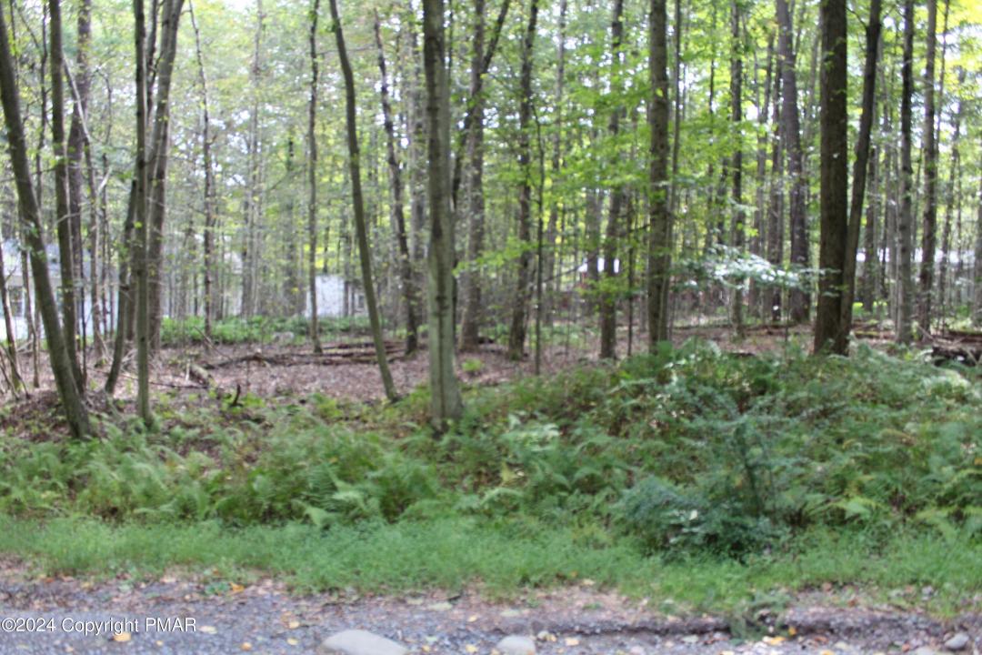 Muskwink Dr1, Pocono Lake, Pennsylvanie 18347, États-Unis