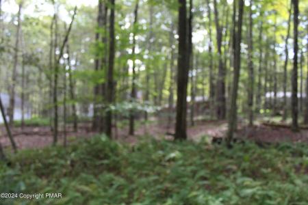 Muskwink Dr1, Pocono Lake, Pennsylvanie 18347, États-Unis