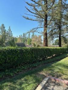 786 Pinewood Lane, San Dimas, 加州 91773, 美國