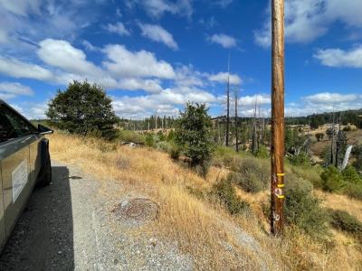 5716 South Railroad Flat Road, Mountain Ranch, 加利福尼亚州 95246, 美国
