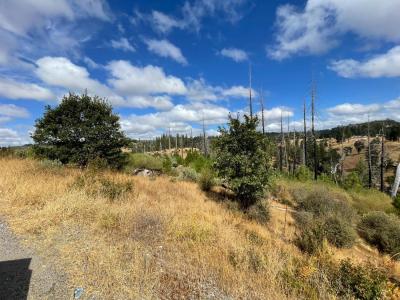 5716 South Railroad Flat Road, Mountain Ranch, 加利福尼亚州 95246, 美国