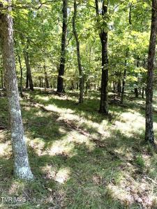 1433/1437 Echota Lane, Mooresburg, テネシー 37811, アメリカ合衆国