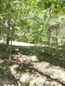1433/1437 Echota Lane, Mooresburg, テネシー 37811, アメリカ合衆国