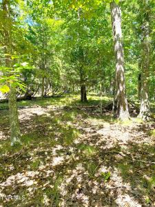 1433/1437 Echota Lane, Mooresburg, Tennessee 37811, USA