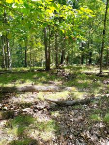 1433/1437 Echota Lane, Mooresburg, テネシー 37811, アメリカ合衆国