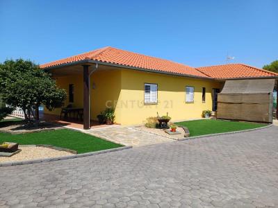 Mirandela, ברגנסה 5370-568, פורטוגל