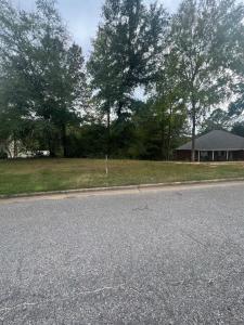 0 Judson Court, Prattville, Alabama 36067, USA