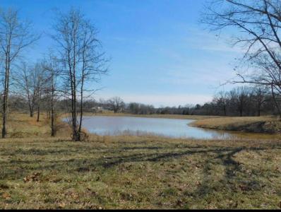 TBD Dig Deer Run Lot 9, West Plains, 미조리 65775, 미국